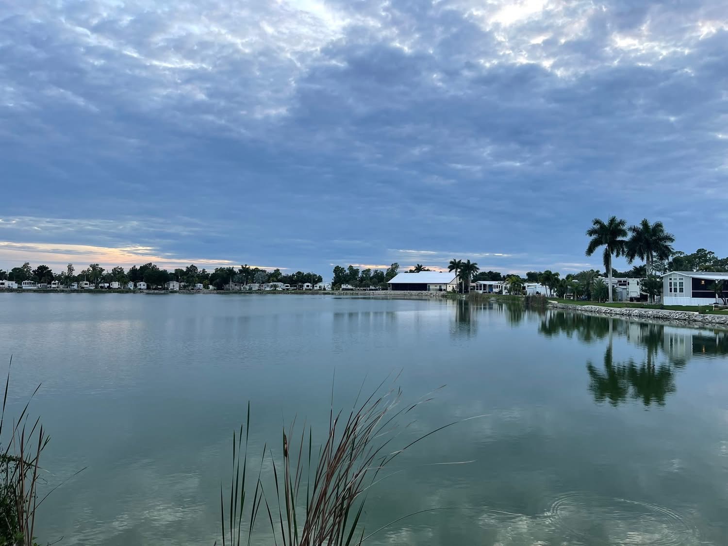 Scenic view at Water's Edge