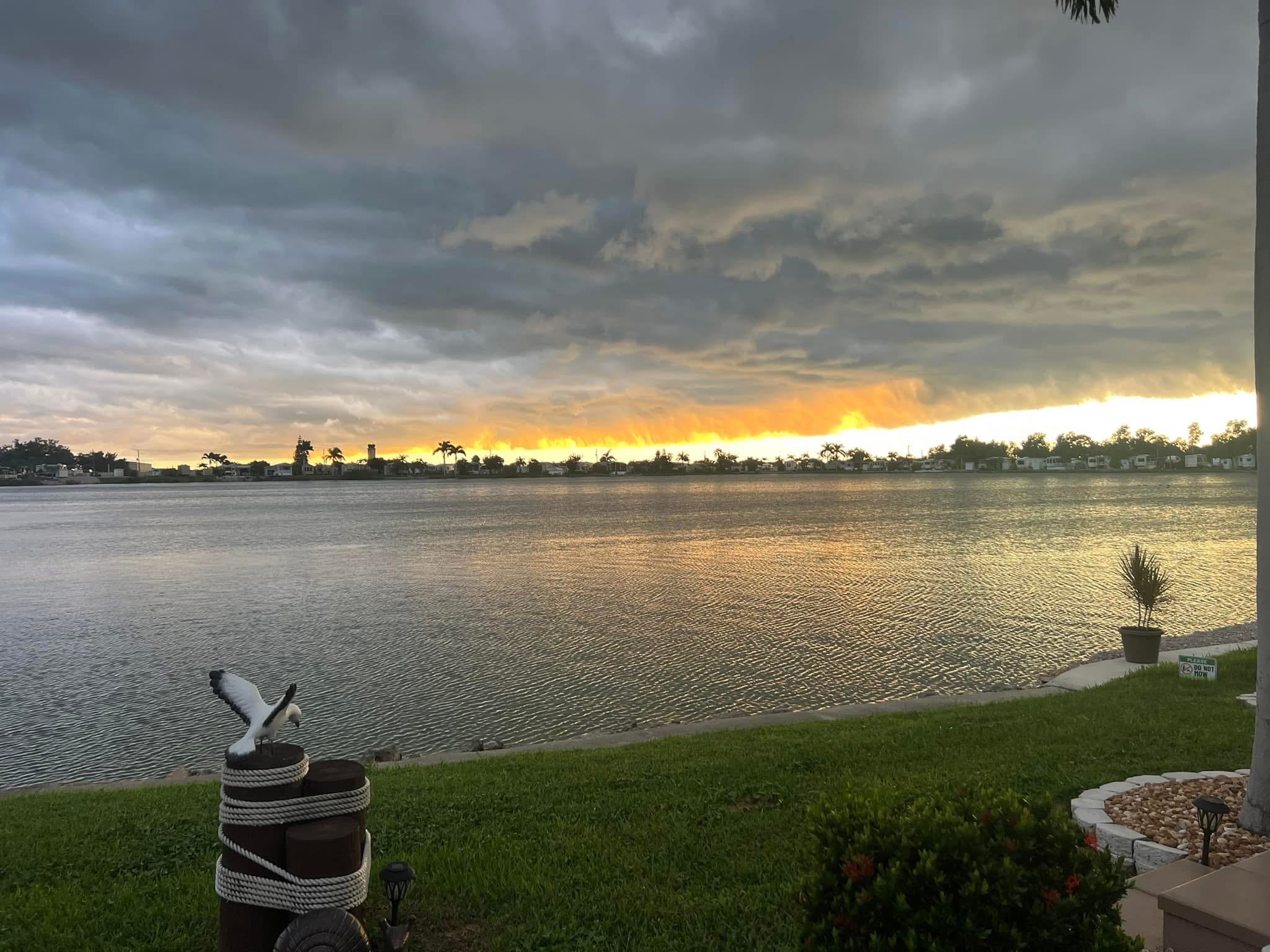 Lake view Water's Edge